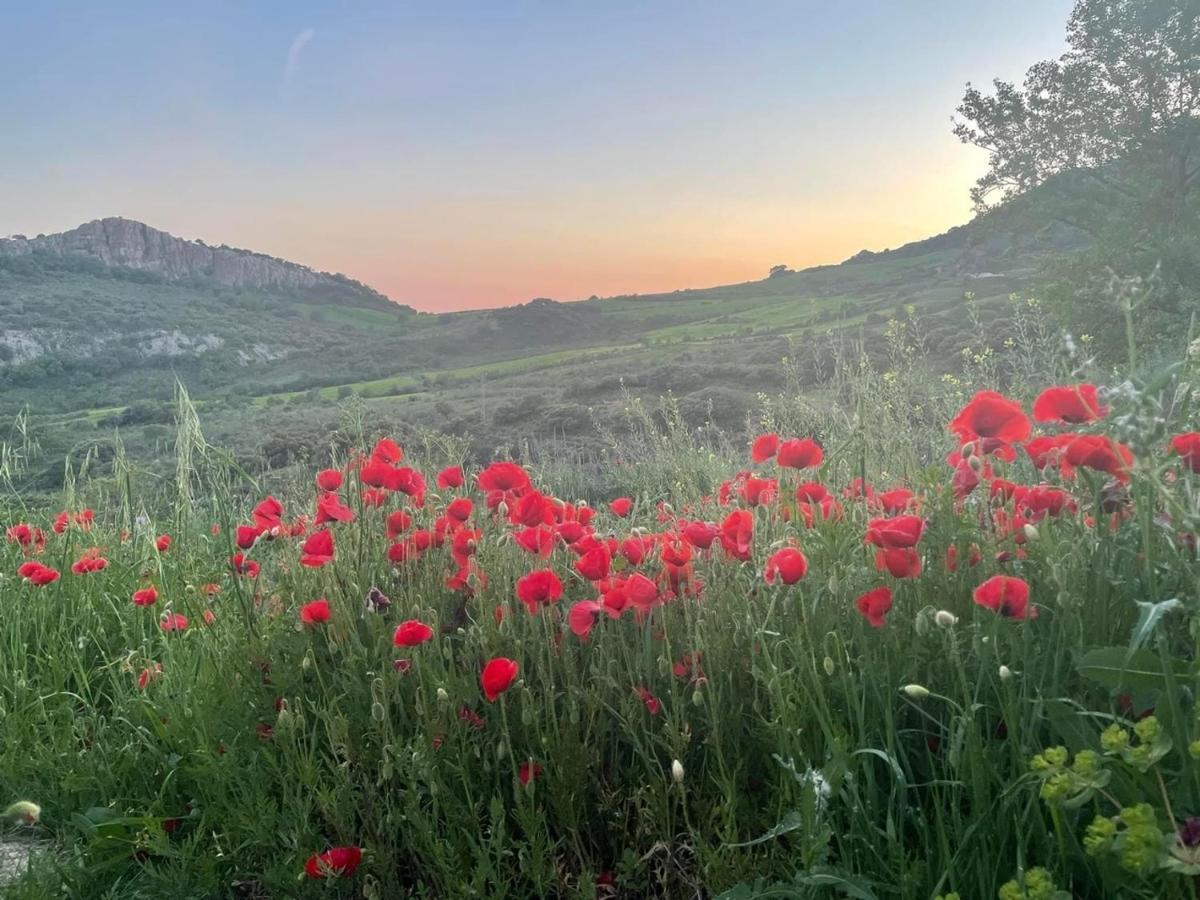 Cortijo Rancho Verde كولمينار المظهر الخارجي الصورة