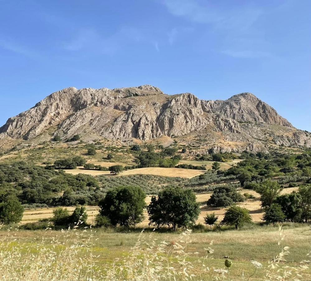 Cortijo Rancho Verde كولمينار المظهر الخارجي الصورة