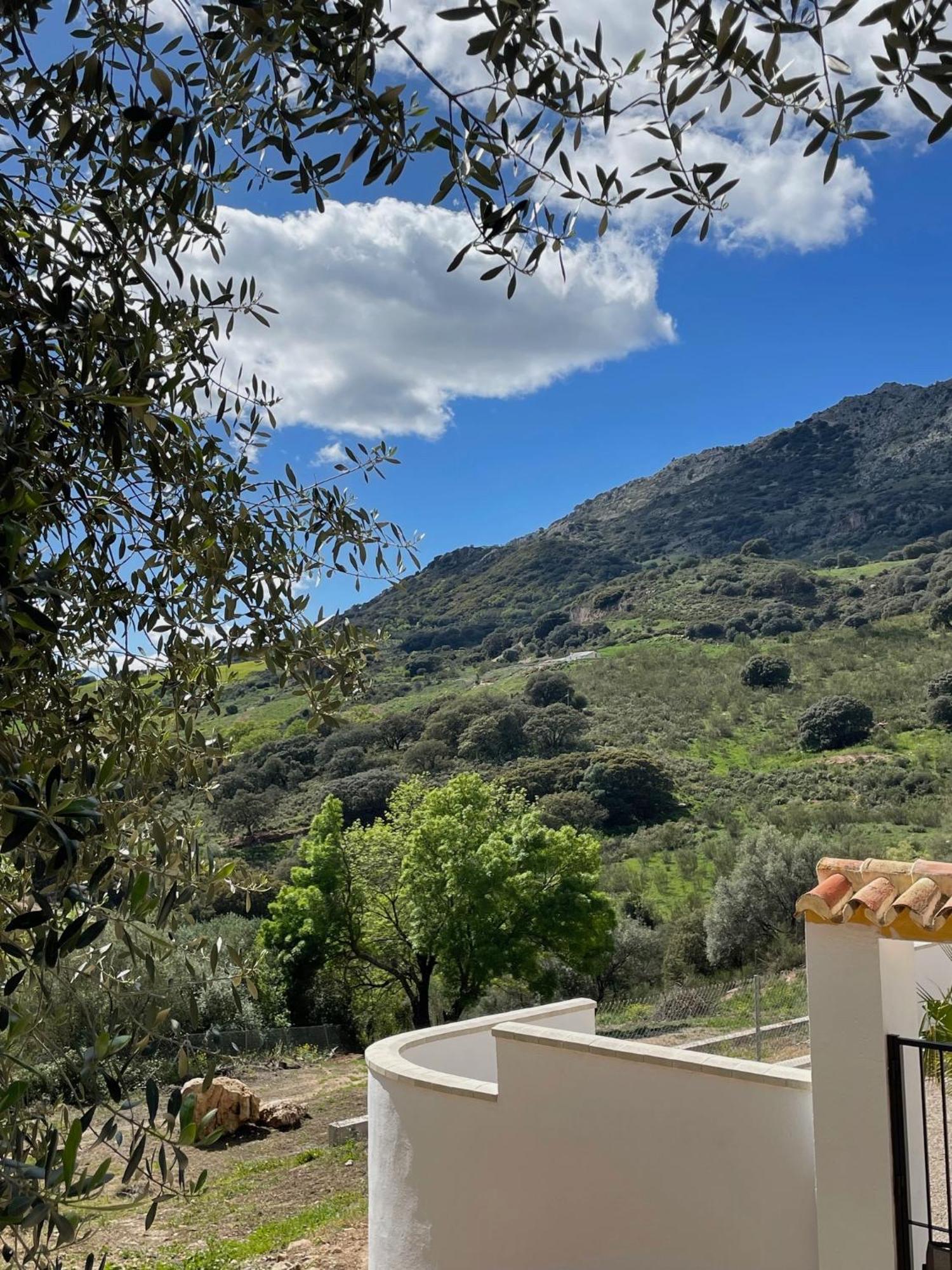 Cortijo Rancho Verde كولمينار المظهر الخارجي الصورة