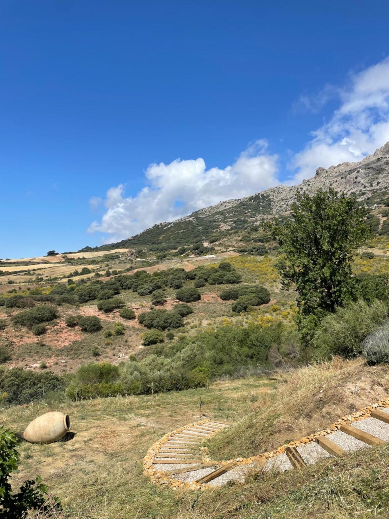 Cortijo Rancho Verde كولمينار المظهر الخارجي الصورة