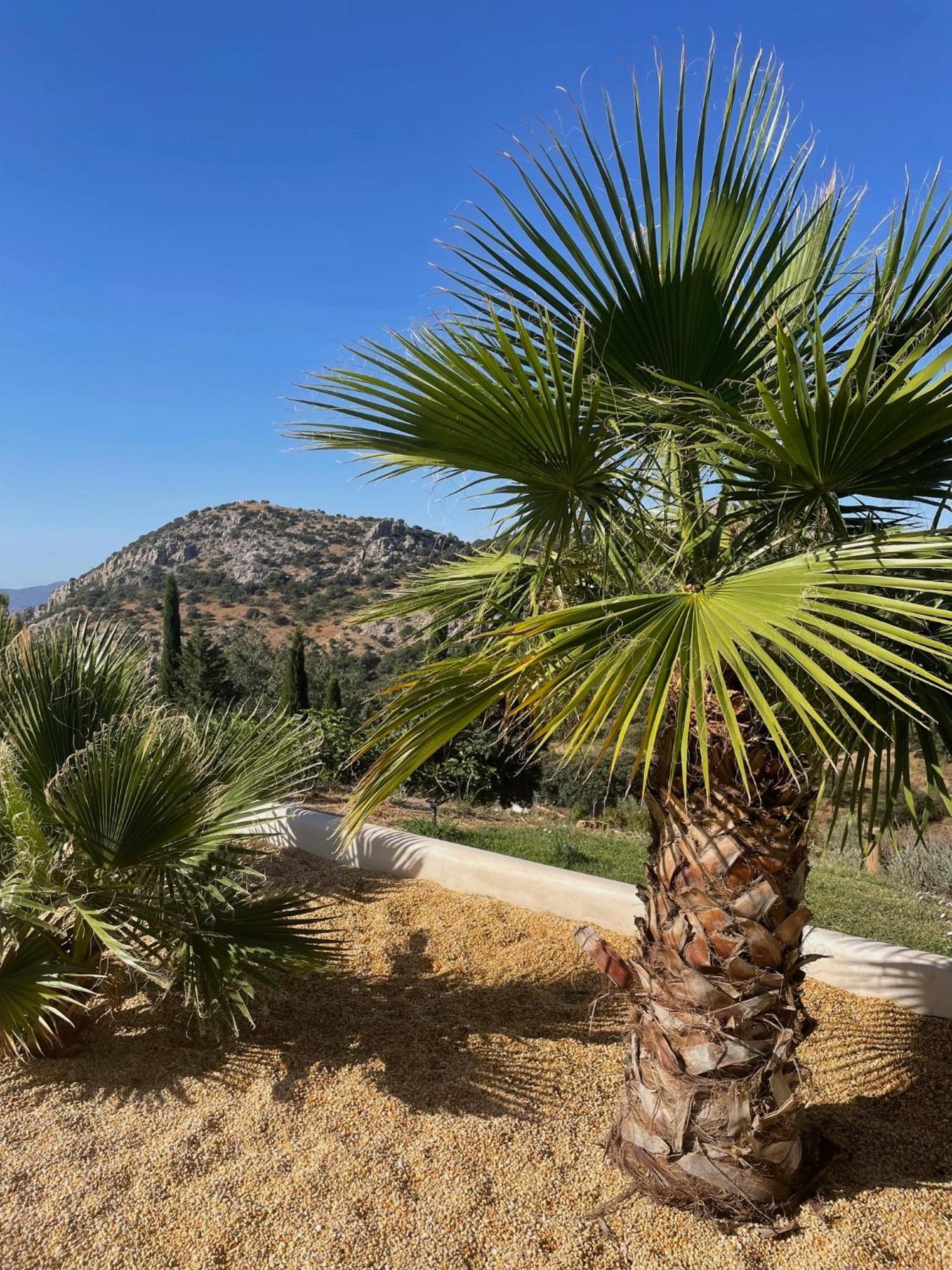 Cortijo Rancho Verde كولمينار المظهر الخارجي الصورة